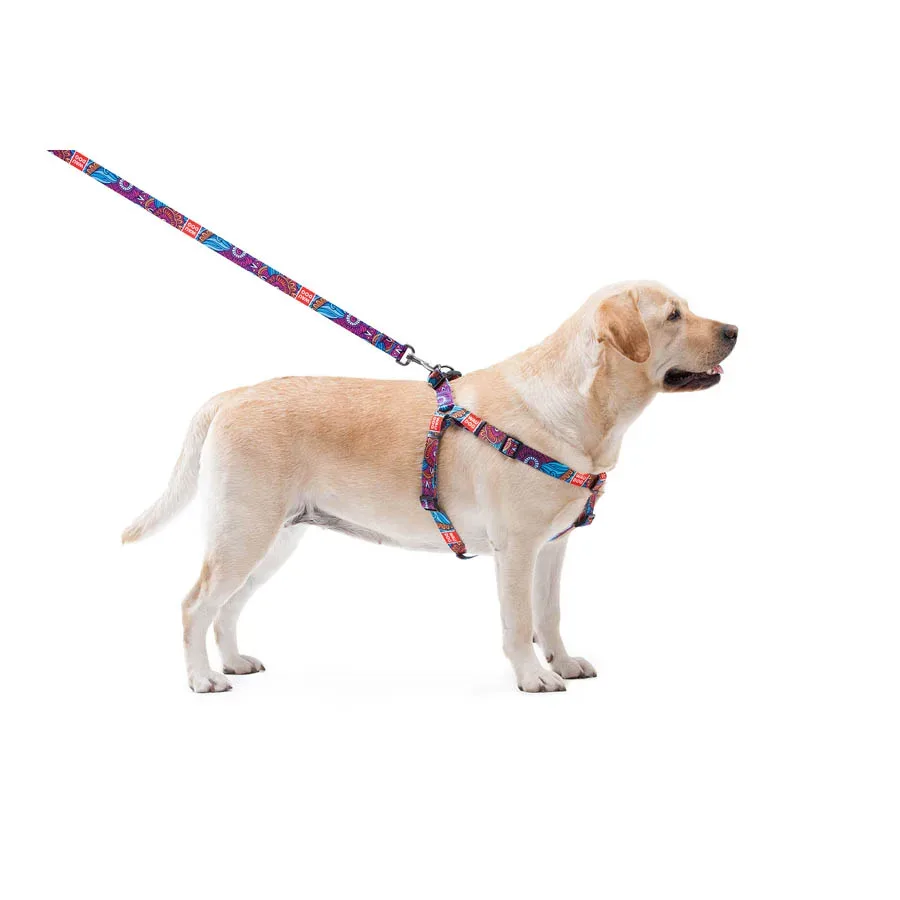 Повідець для собак нейлоновий «Літо», M WAUDOG Nylon Leash Summer