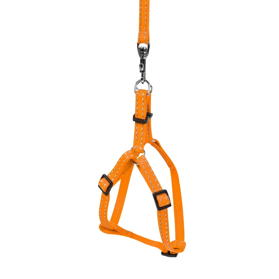 Шлея з нейлону регульована з повідцем, XS, помаранчевий Dog Extreme Harness with Leash