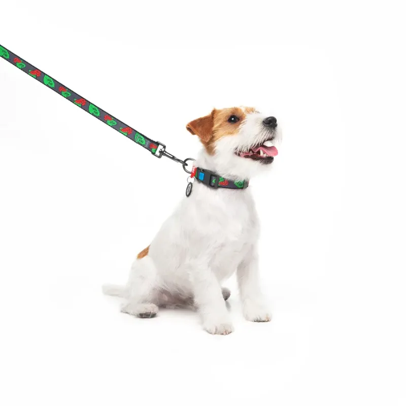 Повідець для собак нейлоновий «Калина», M WAUDOG Nylon Leash Kalyna
