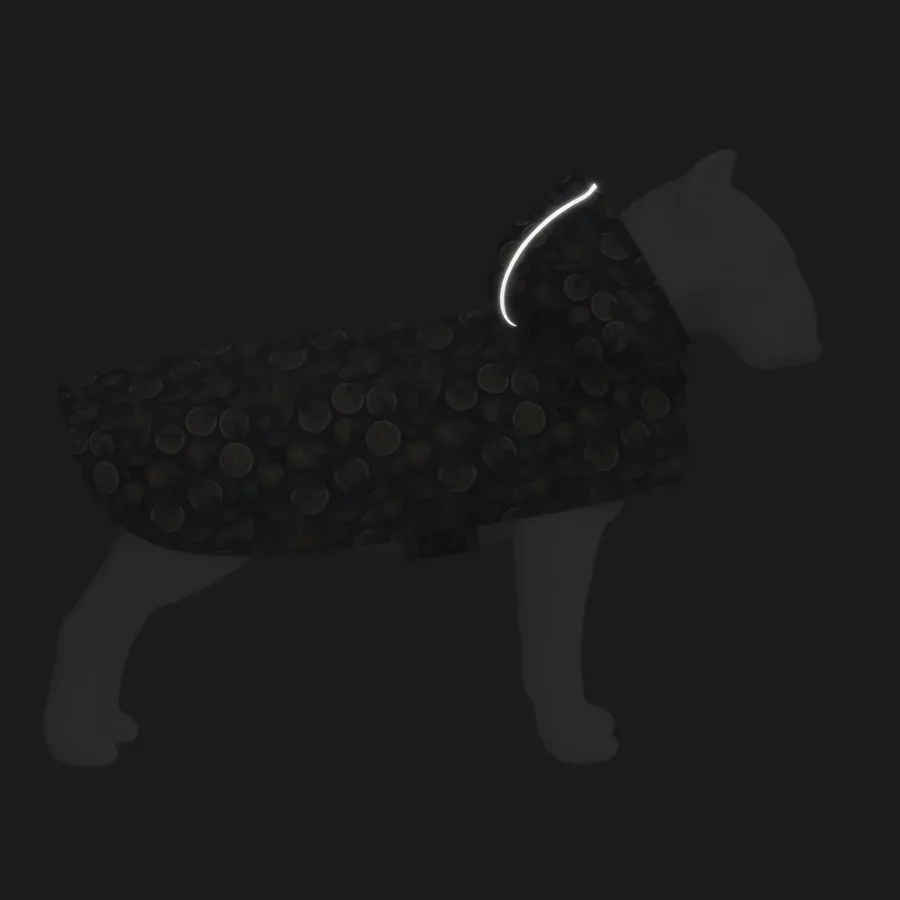 Дощовик-накидка з капюшоном для собак «Апельсини», XS WAUDOG Clothes Dog Raincoat Oranges