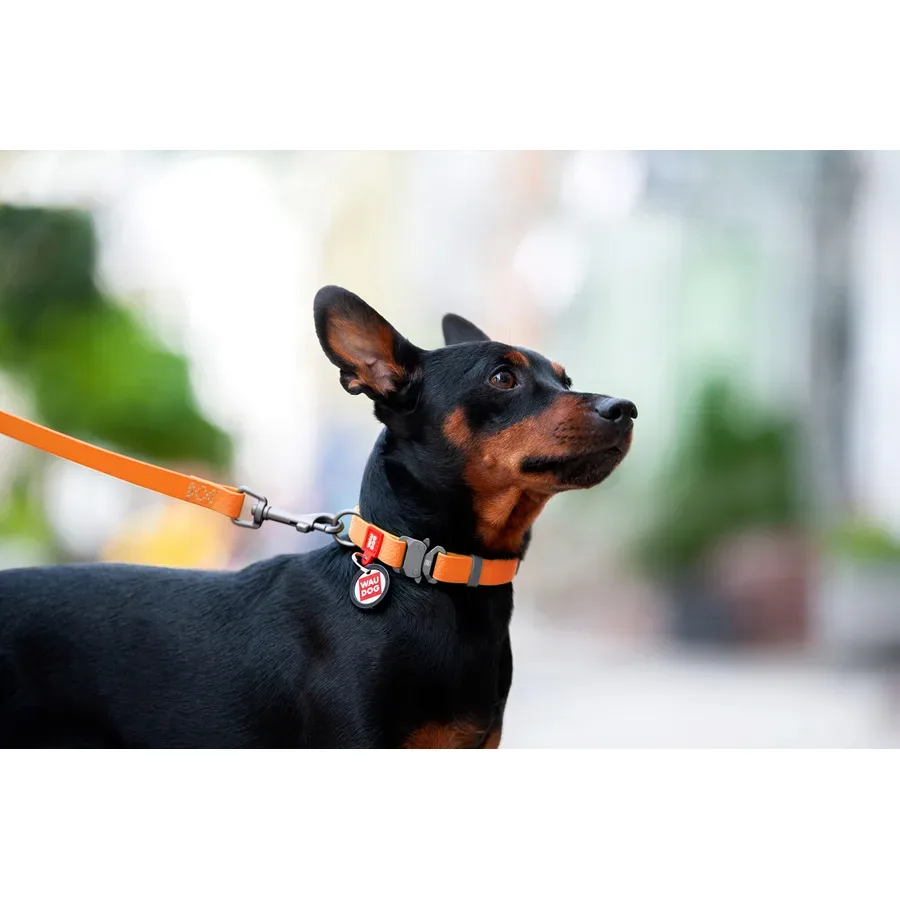 Нашийник для собак водостійкий, металева пряжка, L, помаранчевий WAUDOG Waterproof Collar