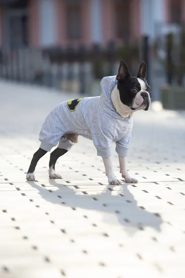 Комбінезон для собак, софтшелл «Бетмен лого», M47 WAUDOG Clothes Dog Jumpsuit Batman Logo