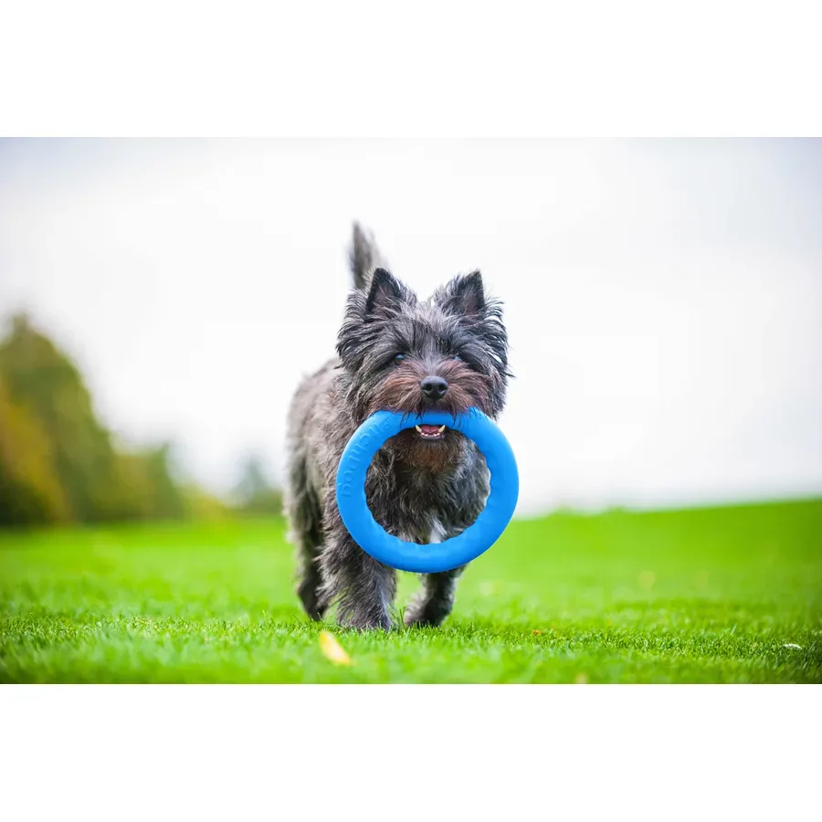 Кільце для апортировки 20, блакитний PitchDog Fetch Ring