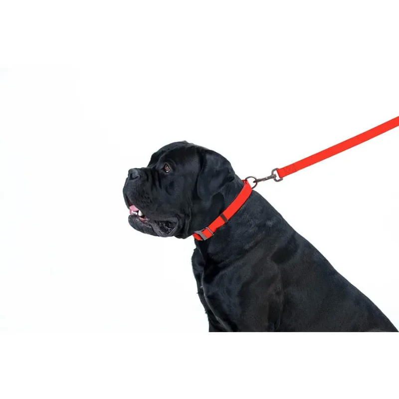 Повідець для собак водостійкий, 15 мм × 183 см, S, червоний WAUDOG Waterproof Leash