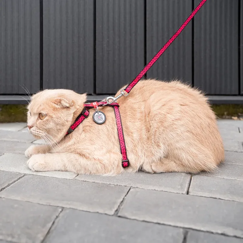 Шлея с поводком «Арбуз», XS WAUCAT Nylon Harness with Leash Watermelon
