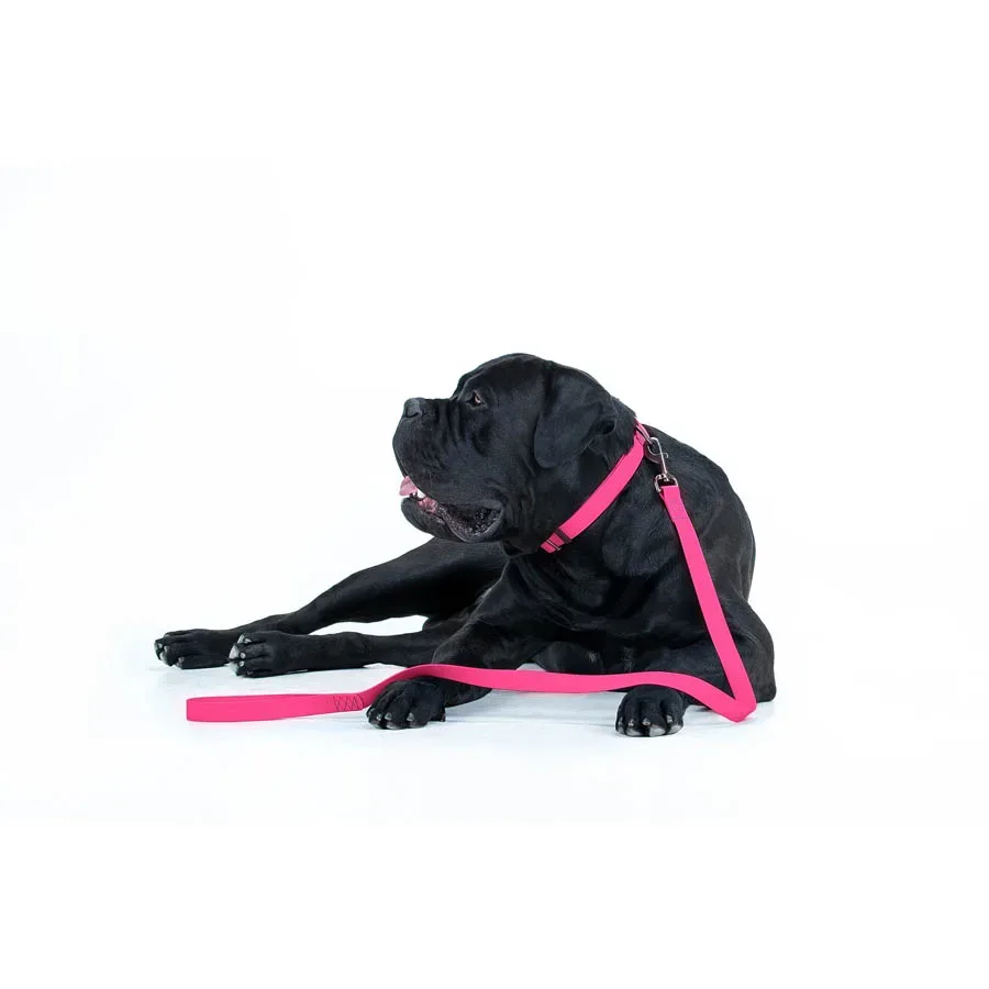 Поводок для собак водостойкий, 25 мм × 183 см, L-XXL, розовый WAUDOG Waterproof Leash