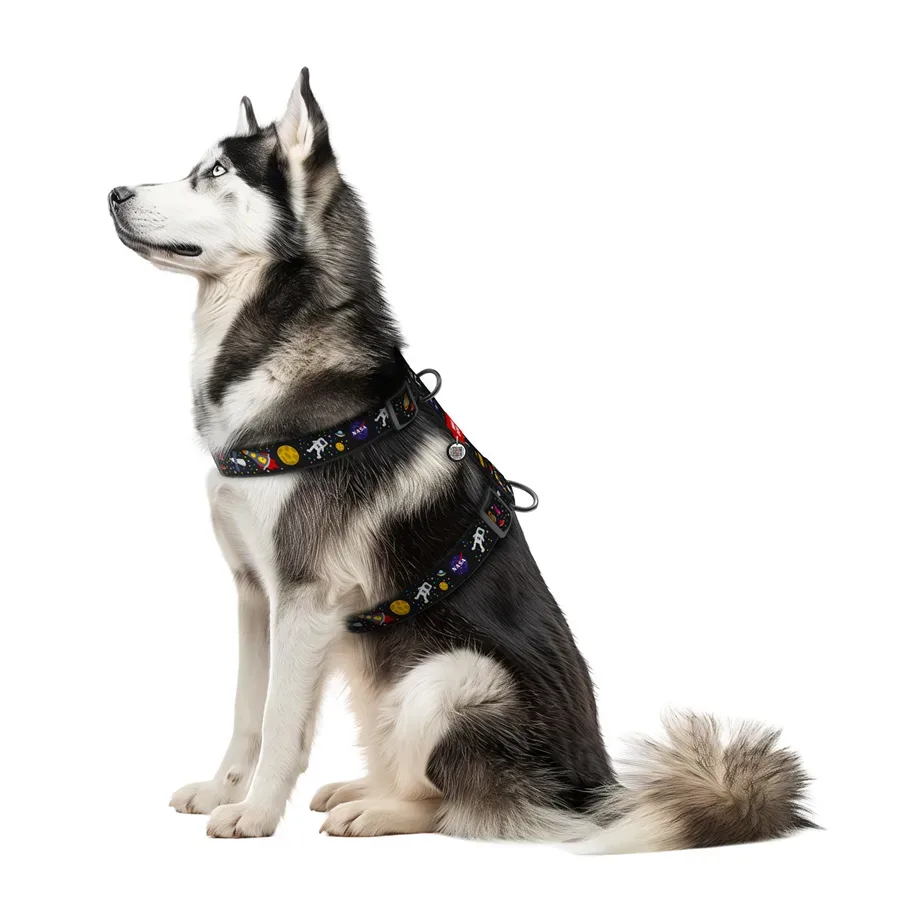 Шлея для собак анатомічна H-подібна «NASA», XL WAUDOG Nylon Anatomic Harness NASA