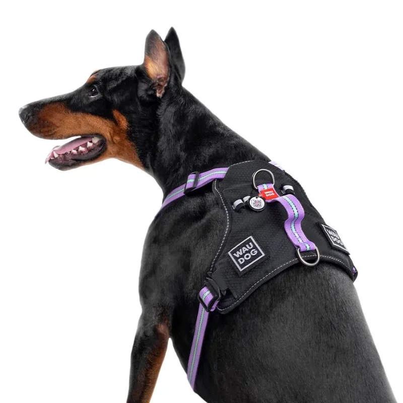 Шлея для собак безпечна, M, фіолетовий WAUDOG Nylon Harness