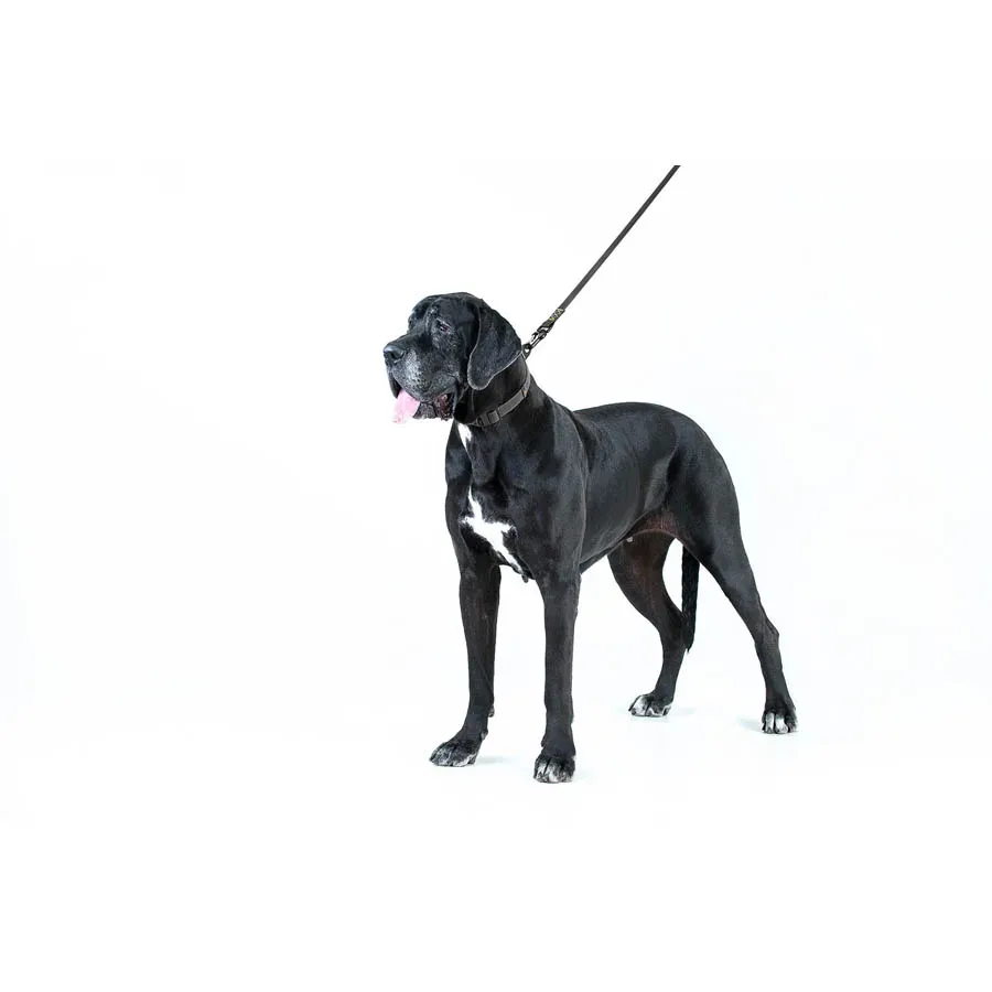 Нашийник, регульований, універсальний, S-XL, чорний EVOLUTOR Collar