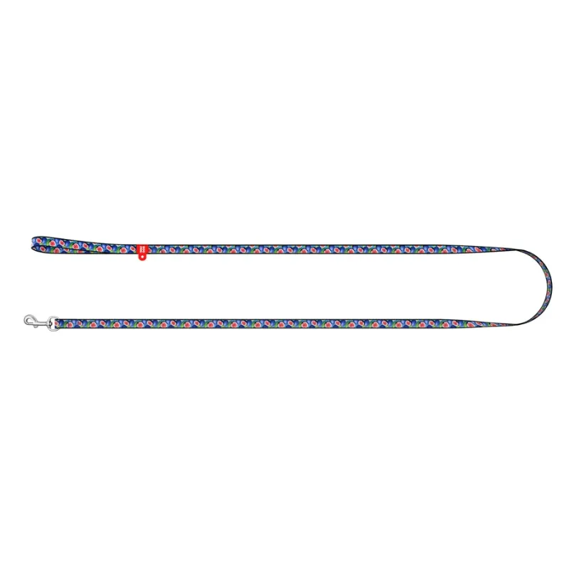 Поводок для котов и мелких пород собак нейлоновый «Инжир», XS WAUDOG Nylon Leash Figs
