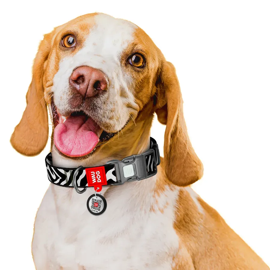 Нашийник для собак нейлоновий «Зебра», M WAUDOG Nylon Collar Zebra