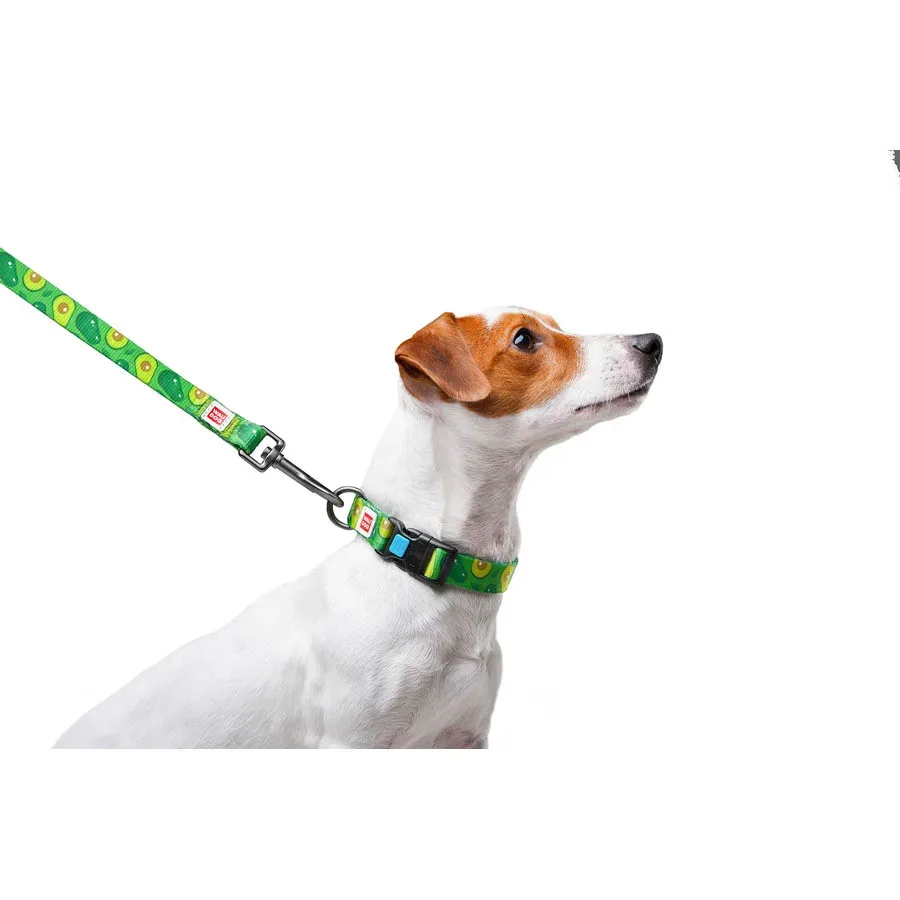 Поводок для собак нейлоновый «Авокадо», M WAUDOG Nylon Leash Avocado