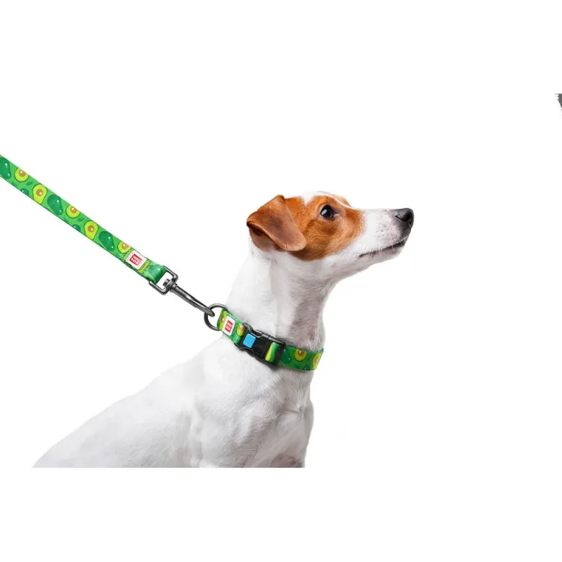 Поводок для собак нейлоновый «Авокадо», M WAUDOG Nylon Leash Avocado