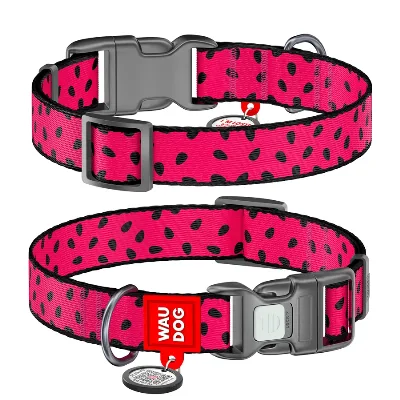 Нашийник для собак нейлоновий «Кавун», пластикова пряжка, M WAUDOG Nylon Collar Watermelon
