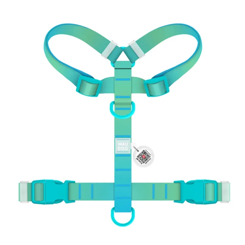 Шлея для собак анатомічна H-подібна, градієнт, XL, блакитний WAUDOG Nylon Recycled Harness