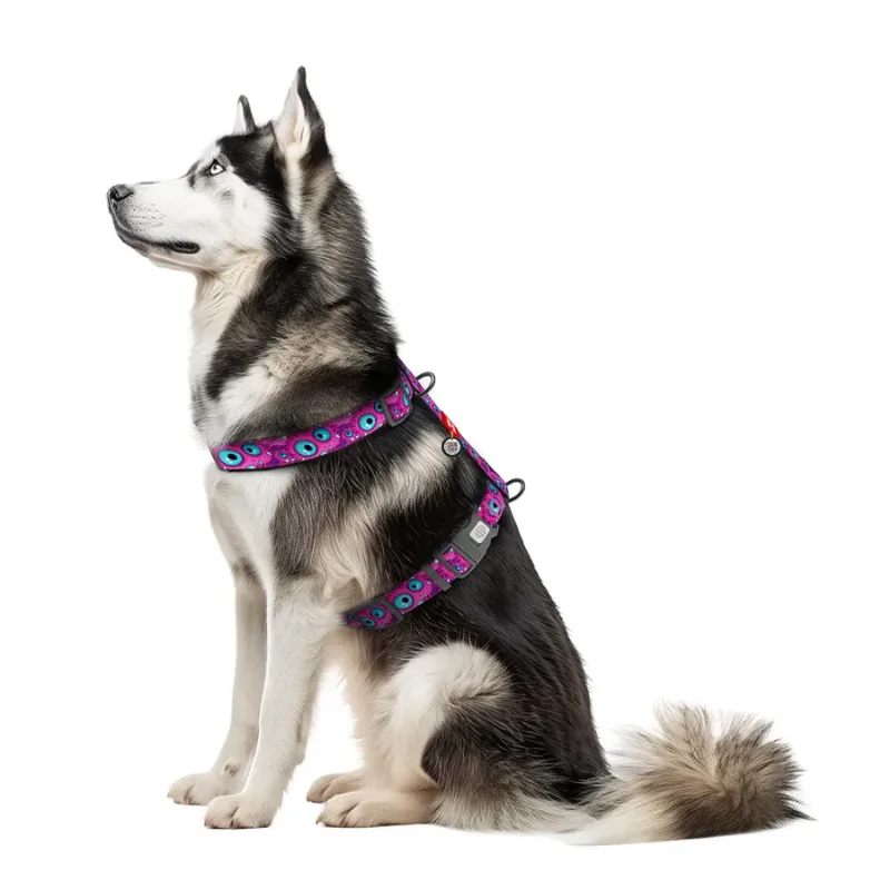 Шлея для собак анатомічна H-подібна «Око монстра», XL WAUDOG Nylon Anatomic Harness Monster Eye
