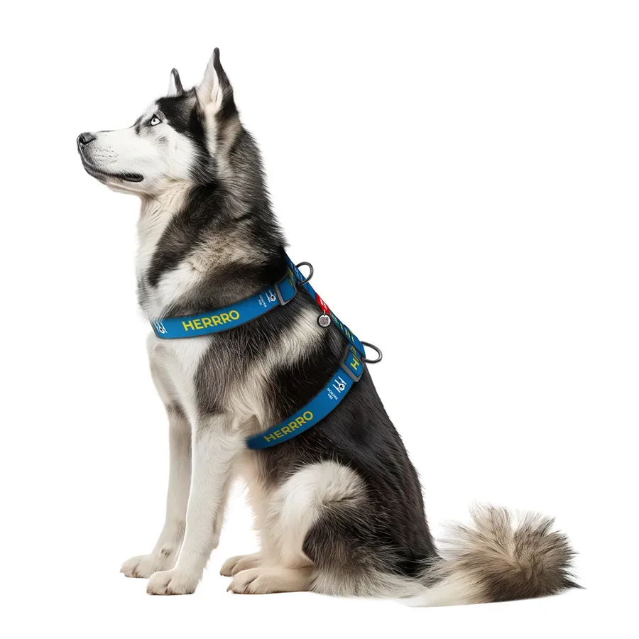 Шлея для собак анатомічна H-подібна «Патрон», XL WAUDOG Nylon Anatomic Harness Patron
