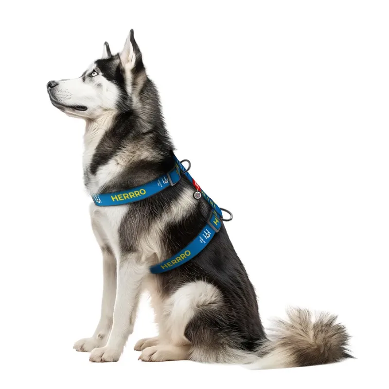 Шлея для собак анатомічна H-подібна «Патрон», XL WAUDOG Nylon Anatomic Harness Patron