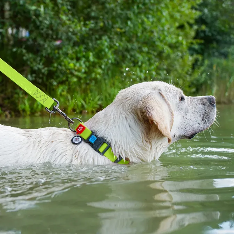 Нашийник для собак водостійкий, пластикова пряжка, XL, салатовий WAUDOG Waterproof Collar