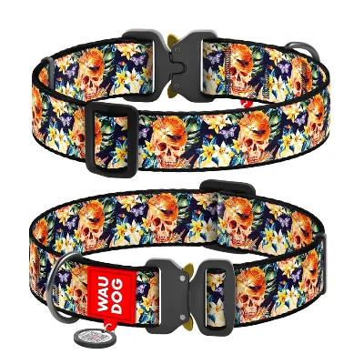 Нашийник для собак нейлоновий «Гламурні черепи», XXL WAUDOG Nylon Collar Glam Skulls