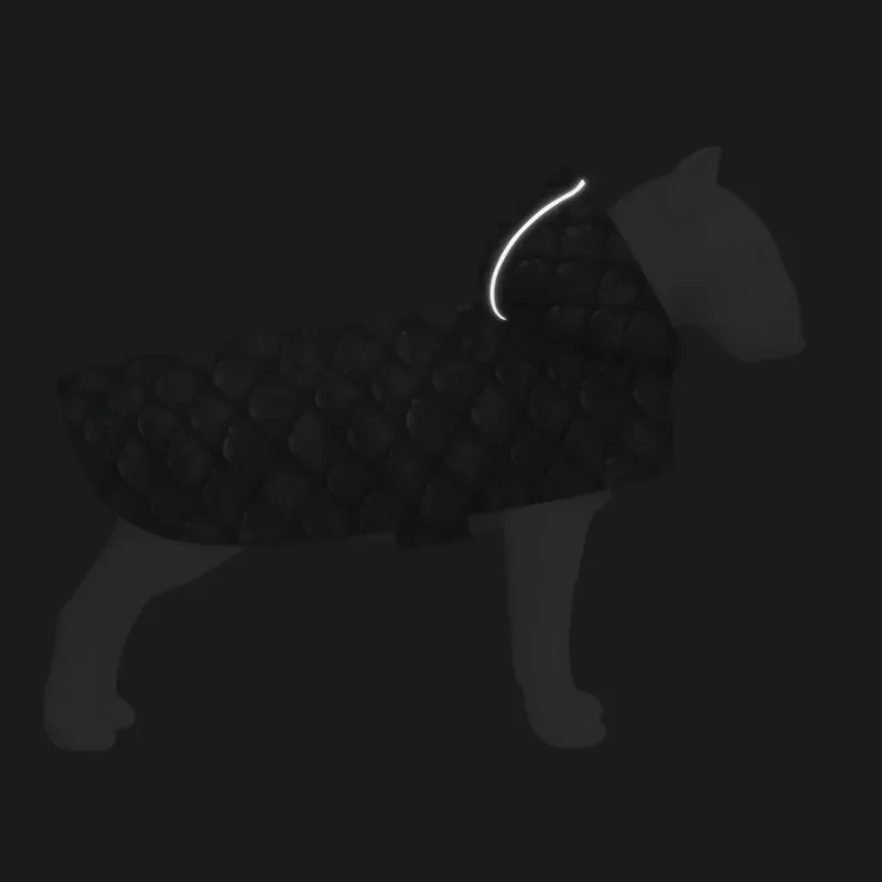 Дождевик-накидка с капюшоном для собак «Чешуя», XL WAUDOG Clothes Dog Raincoat Scales