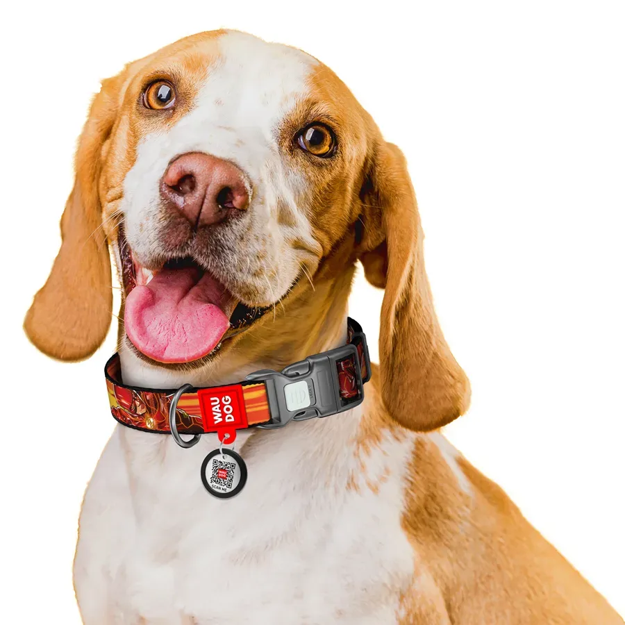 Ошейник для собак нейлоновый «Скорость Флэша», L WAUDOG Nylon DC Comics Collar Flash Speed