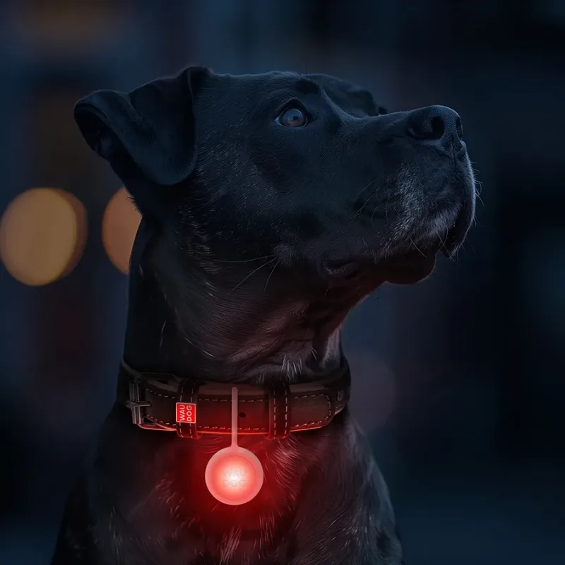 Ліхтарик для собак і котів, у силіконовому чохлі, що світиться, USB WAUDOG LED Light