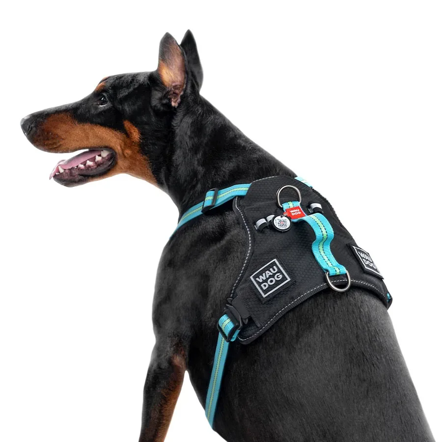 Шлея для собак безпечна, L, блакитний WAUDOG Nylon Harness