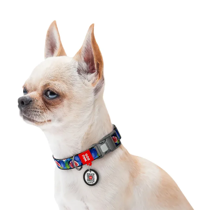 Нашийник для собак нейлоновий «Інжир», L WAUDOG Nylon Collar Figs