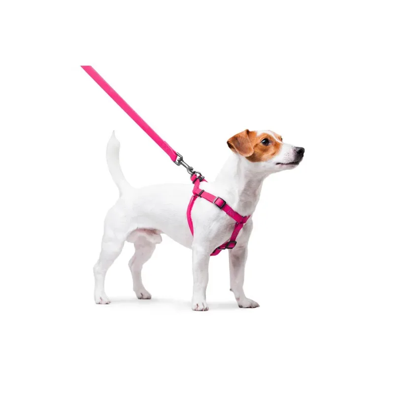 Шлея для собак водостойкая, S, розовый WAUDOG Waterproof Harness