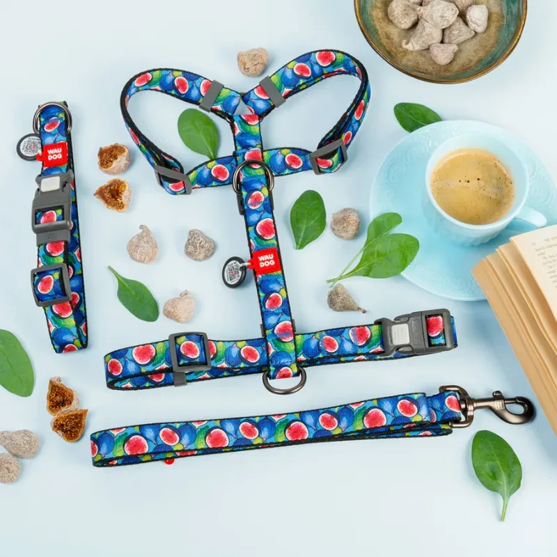 Повідець для собак нейлоновий «Інжир», 25 мм × 122 см, L-XXL WAUDOG Nylon Leash Figs