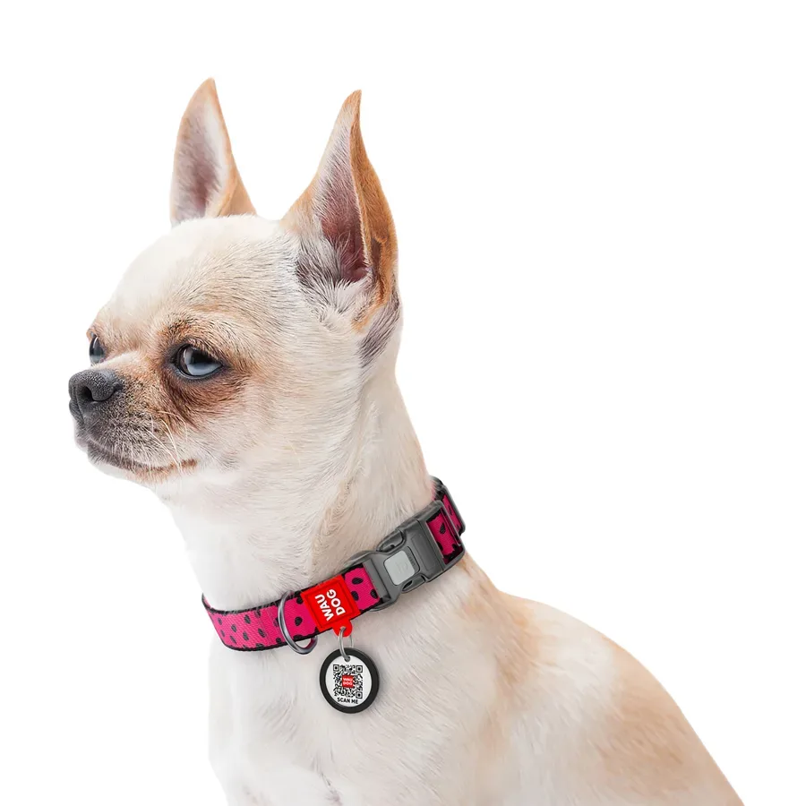 Ошейник для собак нейлоновый «Арбуз», пластиковая пряжка, XL WAUDOG Nylon Collar Watermelon