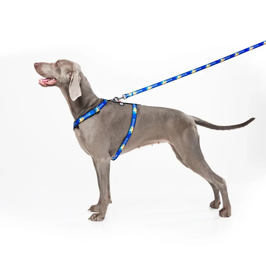 Поводок для собак нейлоновый «Флаг», L-XXL WAUDOG Nylon Leash Flag