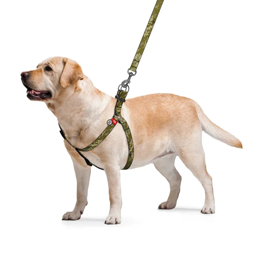 Шлея для собак «Мілітарі», S WAUDOG Nylon Harness Military