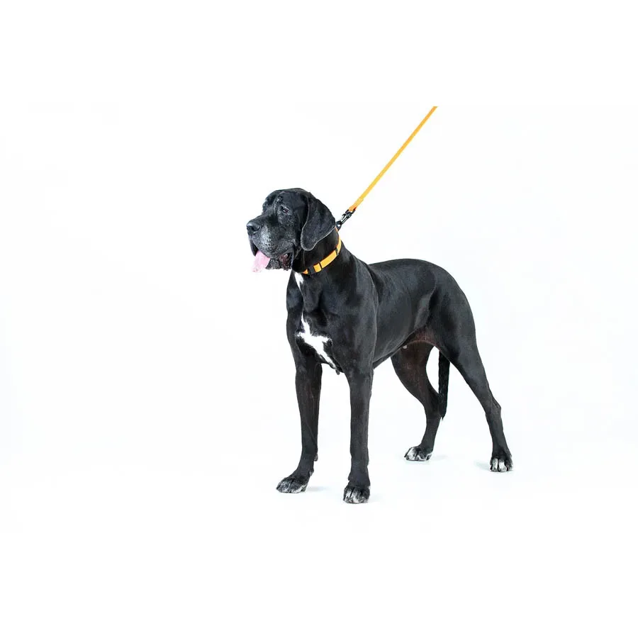Поводок "Эволютор", XL, оранжевый EVOLUTOR Leash