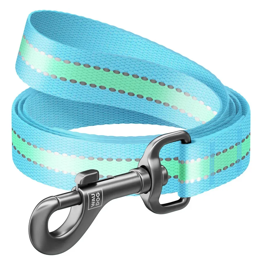 Повідець для собак нейлоновий, світонакоплювальний, M, блакитний WAUDOG Nylon Leash