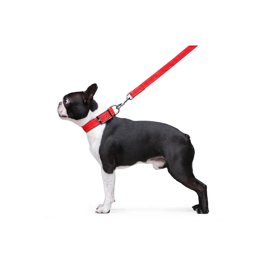 Поводок нейлоновый двойной, M, красный Dog Extreme Leash