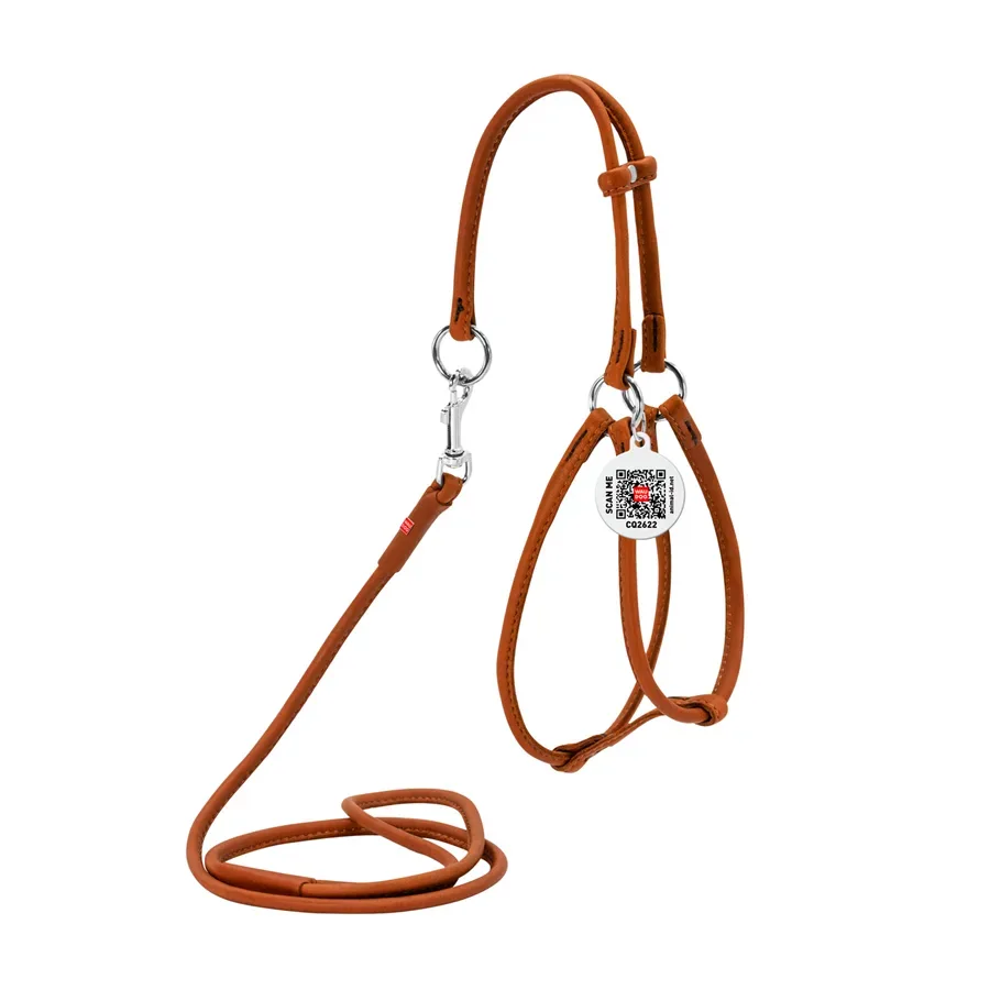 Шлея з повідцем для собак шкіряна, кругла, XS, коричневий WAUDOG Soft Harness with Leash