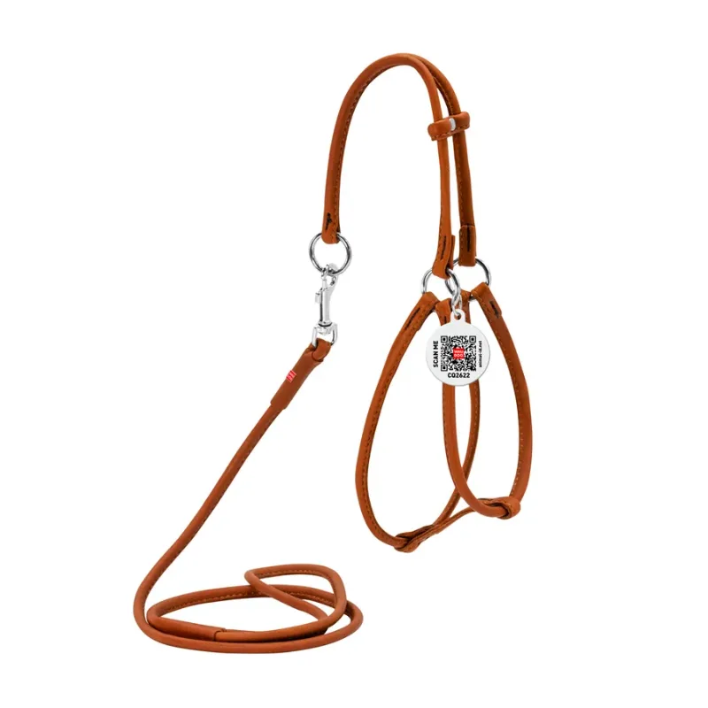 Шлея з повідцем для собак шкіряна, кругла, XS, коричневий WAUDOG Soft Harness with Leash
