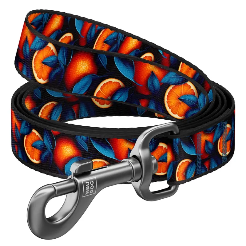 Повідець для собак нейлоновий «Апельсини», 20 мм × 300 см, M WAUDOG Nylon Leash Oranges