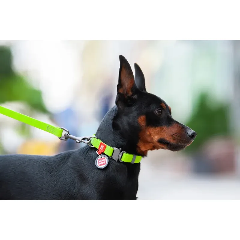 Ошейник для собак водостойкий, металлическая пряжка, L, салатовый WAUDOG Waterproof Collar