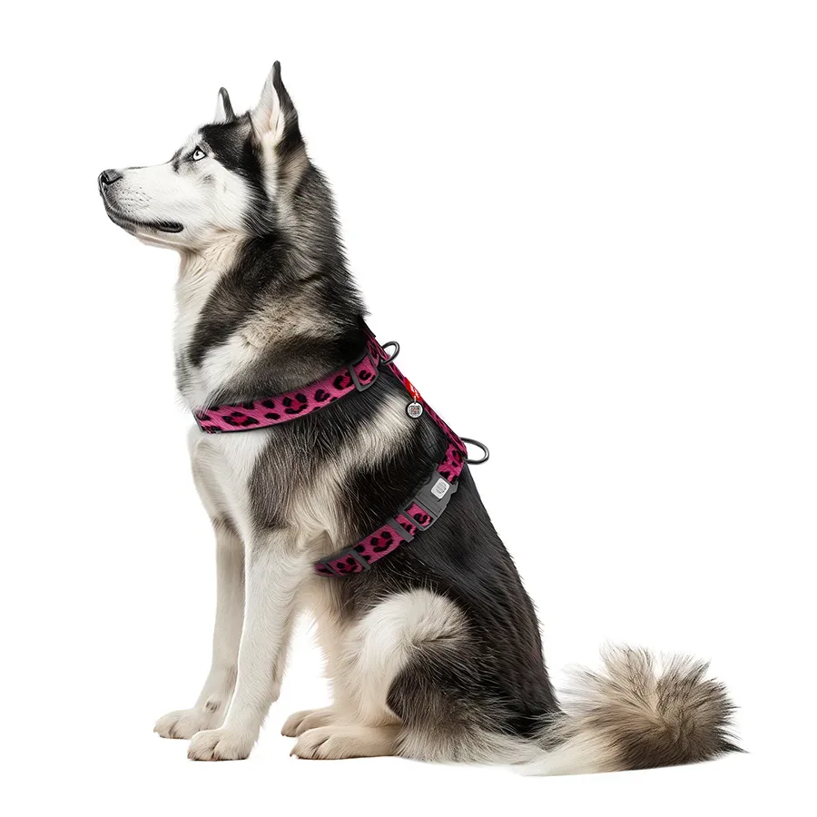 Шлея для собак анатомічна H-подібна «Леопард рожевий», XL WAUDOG Nylon Harness Pink Leopard