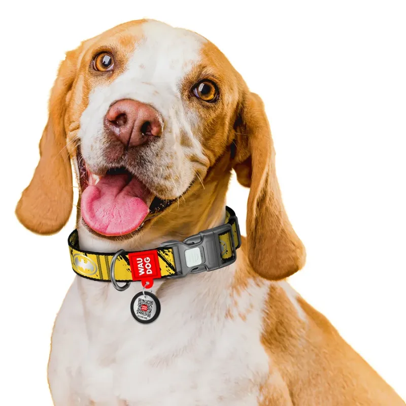 Нашийник для собак нейлоновий, світловідбивний «Бетмен ескіз», XL WAUDOG Nylon DC Comics Collar Batman Sketch