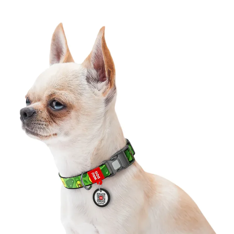 Нашийник для собак нейлоновий «Авокадо», пластикова пряжка, XL WAUDOG Nylon Collar Avocado