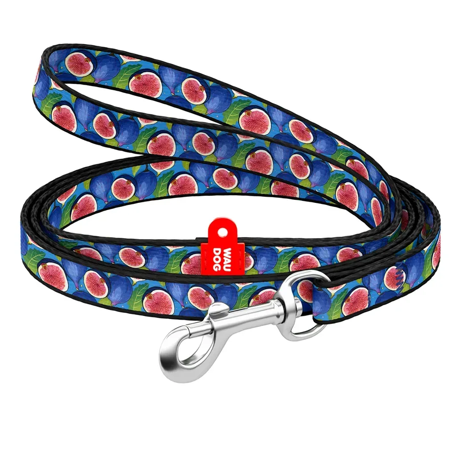 Поводок для котов и мелких пород собак нейлоновый «Инжир», XS WAUDOG Nylon Leash Figs