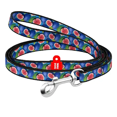 Повідець для котів та дрібних порід собак нейлоновий «Інжир», XS WAUDOG Nylon Leash Figs