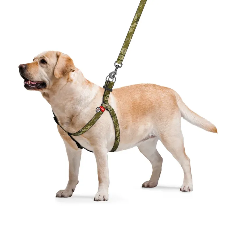 Шлея для собак «Мілітарі», L WAUDOG Nylon Harness Military