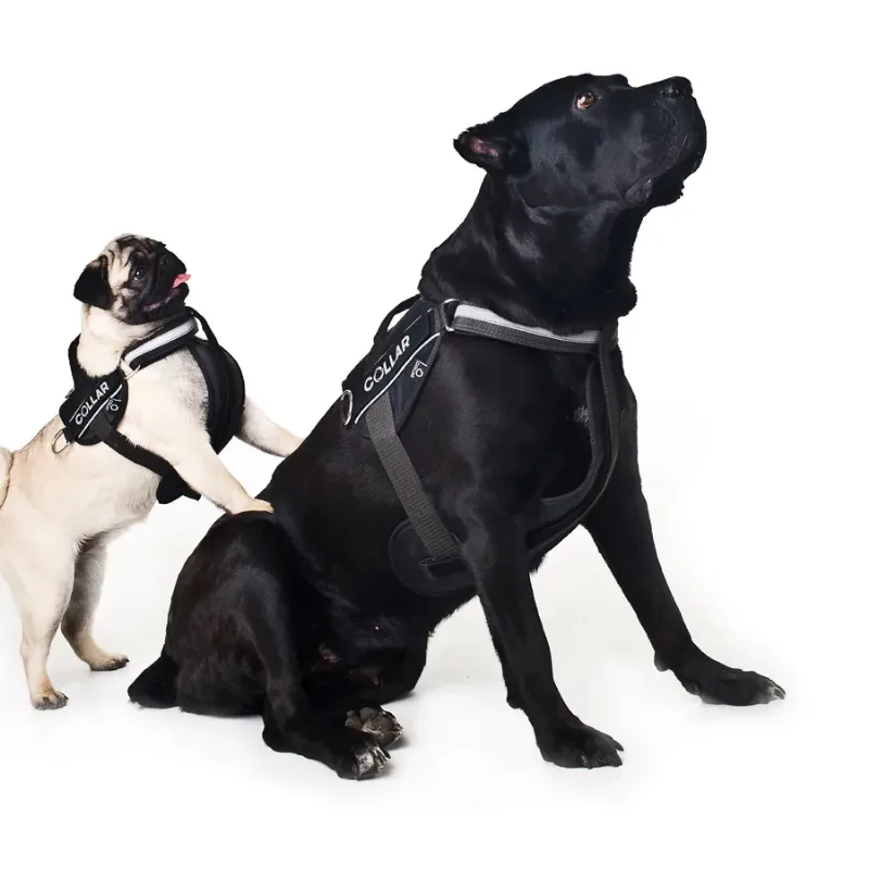 Шлея "POLICE", №2, чорний Dog Extreme Police Harness