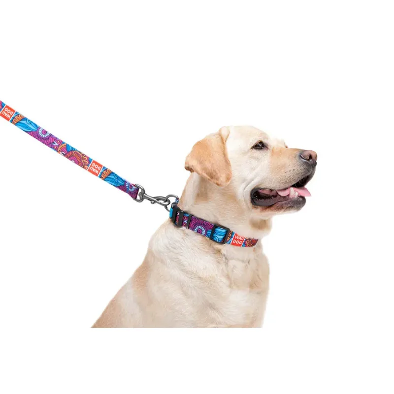 Повідець для собак нейлоновий «Літо», M WAUDOG Nylon Leash Summer