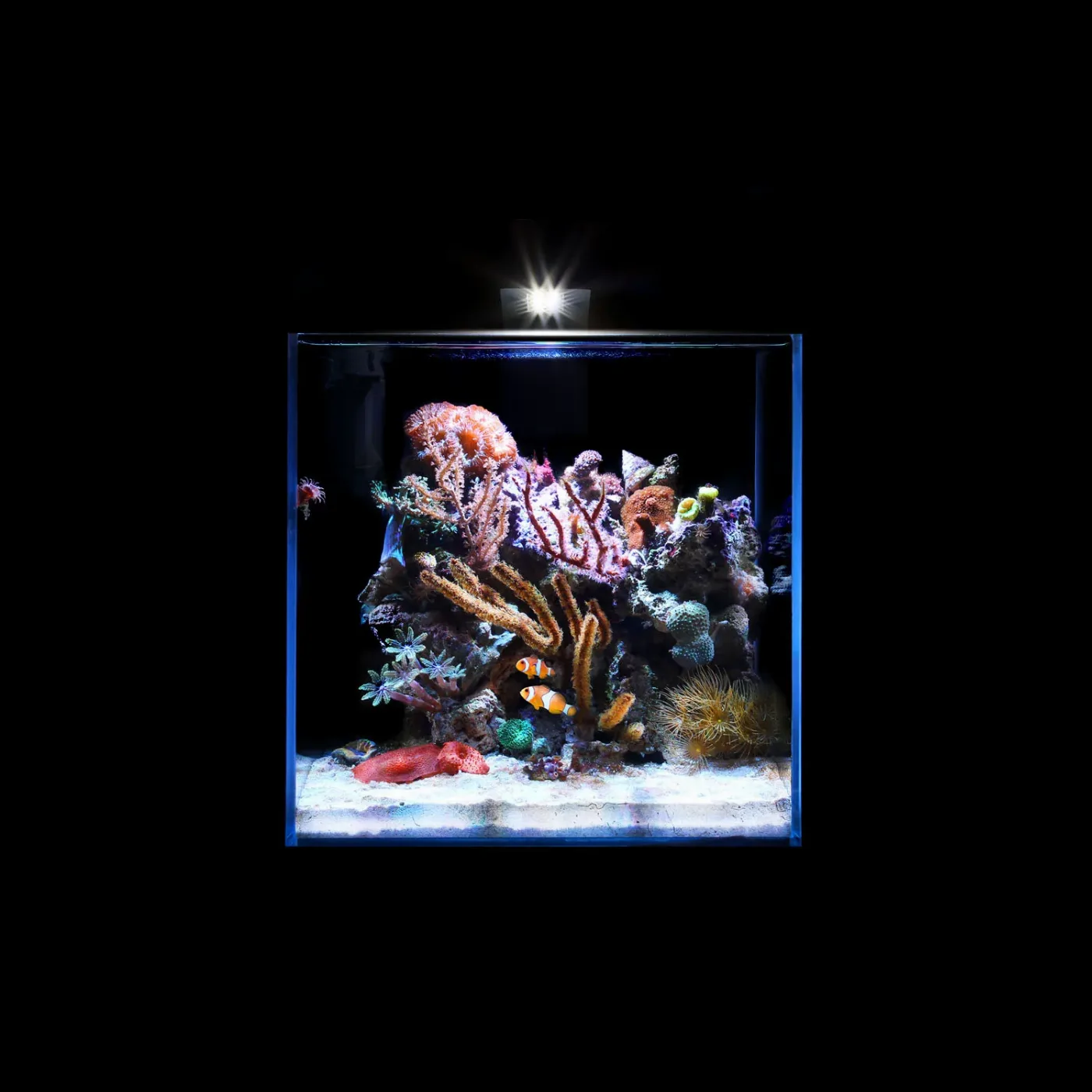 Аквариумный набор Nano Marine Set 15 литров AquaLighter Nano Aquarium Kit